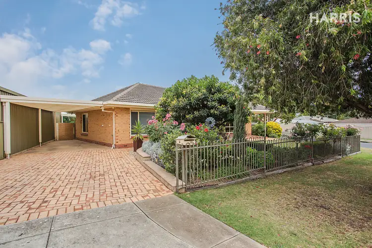 Second view of Homely house listing, 19 Harkness Avenue, Modbury SA 5092