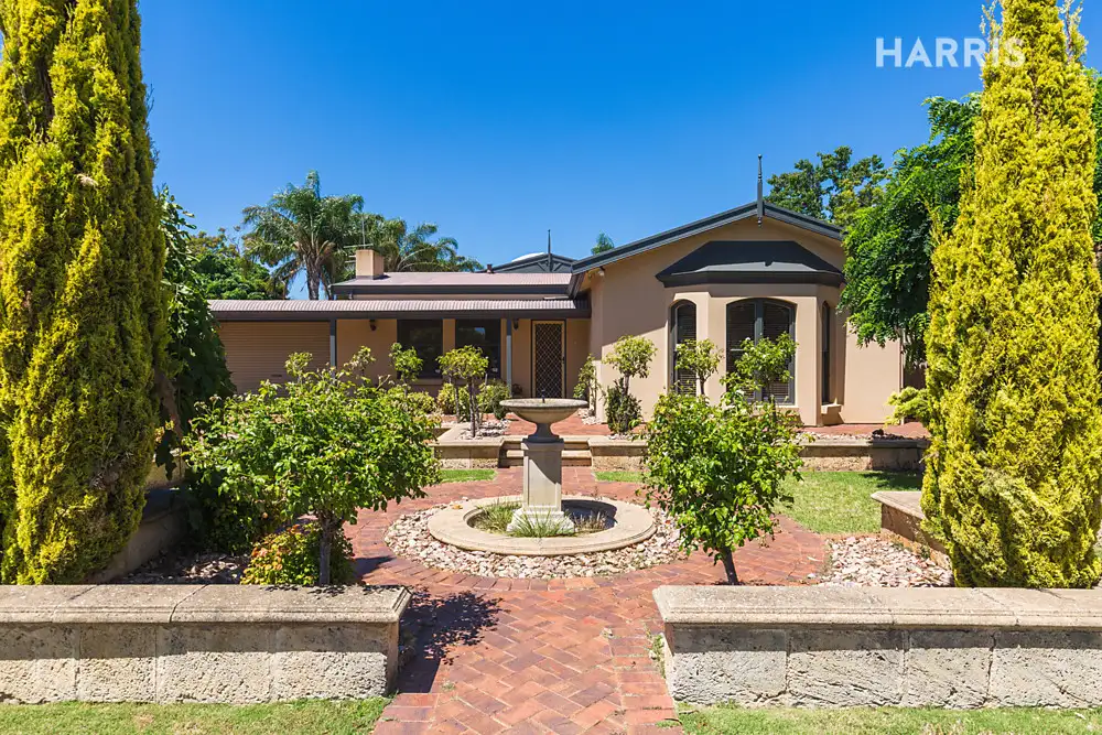 Main view of Homely house listing, 23 Launceston Avenue, Warradale SA 5046