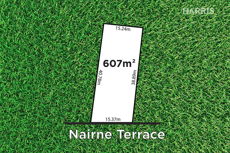 14 Nairne Terrace, Forestville SA 5035