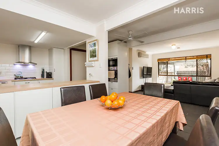 13 Boronia Court, Paradise SA 5075