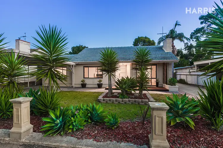 14 Ayre Street, South Plympton SA 5038