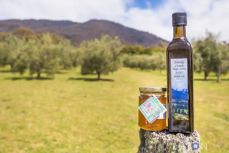 Fifth view of Homely rural property listing, 1060 Furners  Road, Bemboka NSW 2550