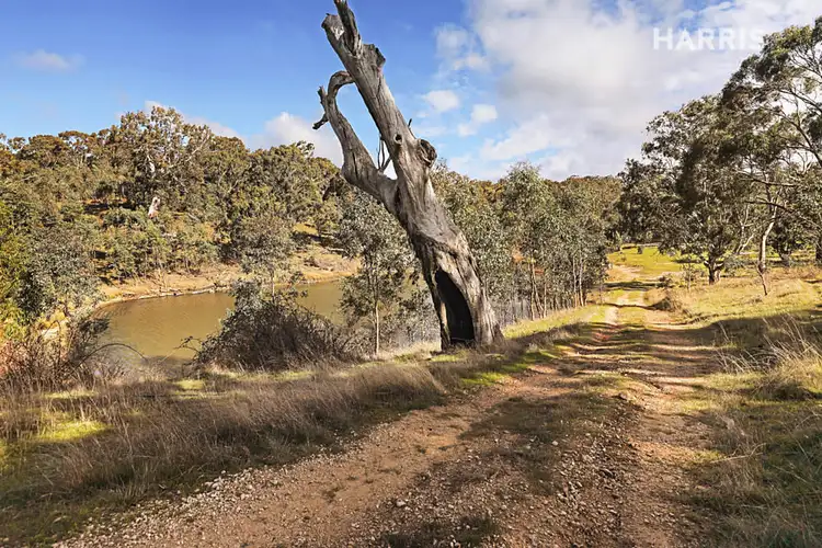 Sixth view of Homely land listing, 260 Archer Hill Road, Highland Valley SA 5255