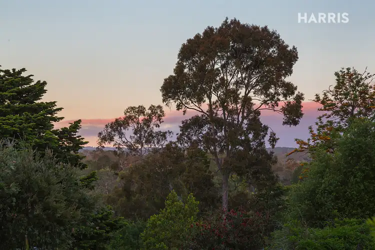 Fourth view of Homely house listing, 269 Main Road, Hawthorndene SA 5051