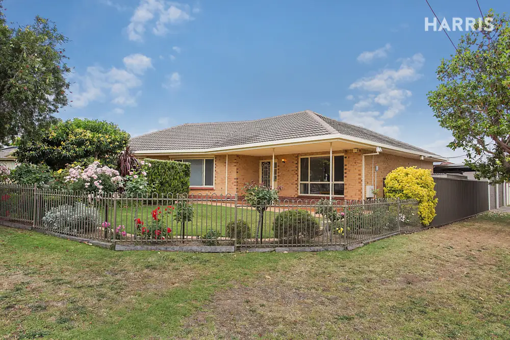 Main view of Homely house listing, 19 Harkness Avenue, Modbury SA 5092