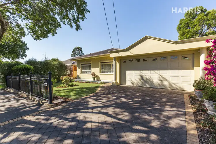 31 Birdwood Street, Netherby SA 5062