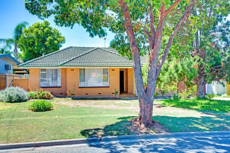 20 Rex Avenue, Gilles Plains SA 5086