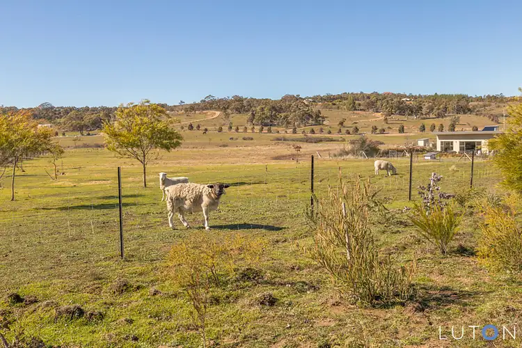 Fourth view of Homely house listing, 115 Yuranga Drive, Wamboin NSW 2620
