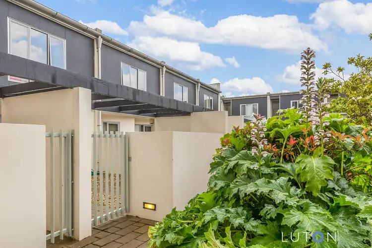 31/1 Beissel Street, Belconnen ACT 2617