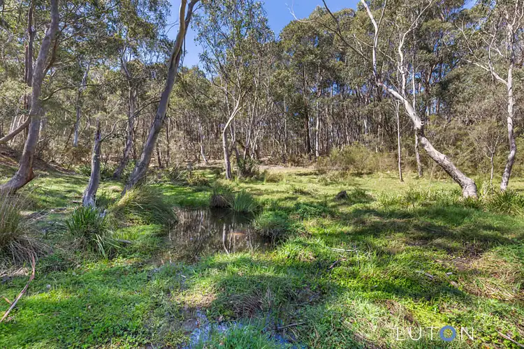 Fourth view of Homely rural property listing, 884 Charleys Forest Road, Braidwood NSW 2622