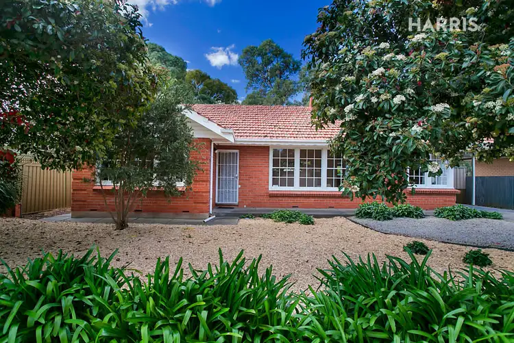 39 Malone Street, Morphett Vale SA 5162