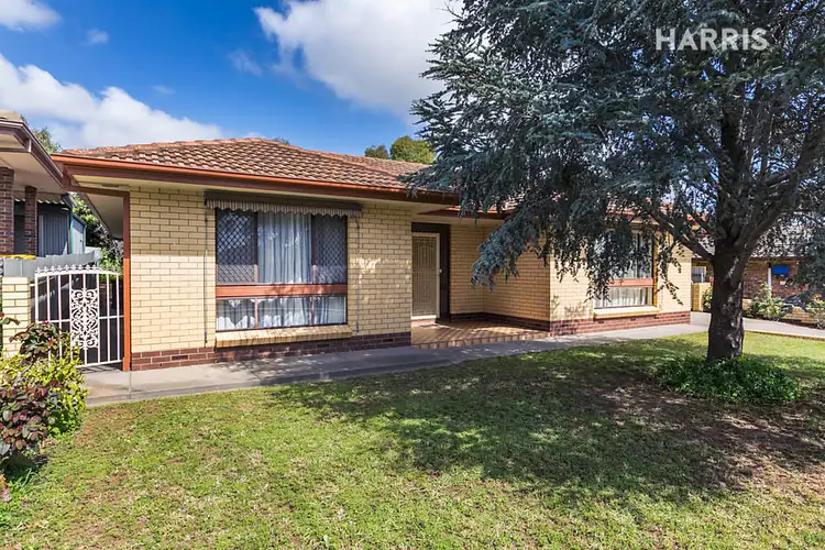 Main view of Homely house listing, 14 Doncaster Avenue, Newton SA 5074