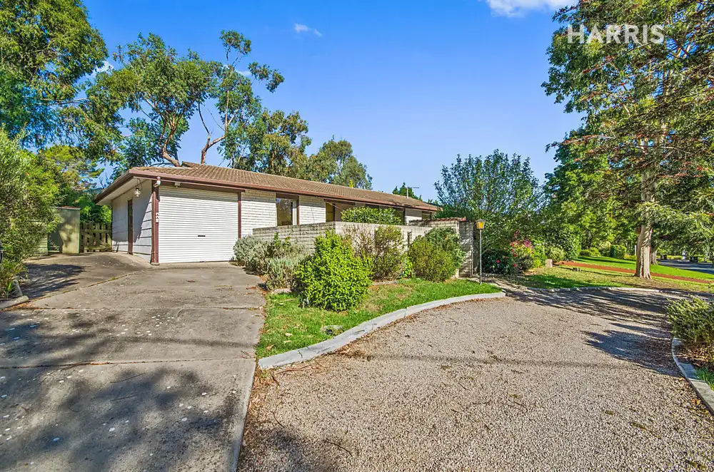 Main view of Homely house listing, 49 Johnson Parade, Blackwood SA 5051