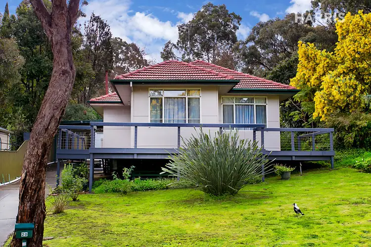 Main view of Homely house listing, 20 Chapman Street, Blackwood SA 5051