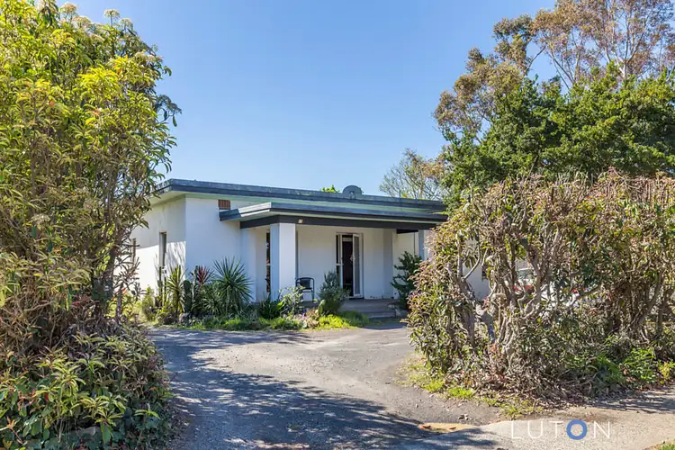 13 Batman Street, Braddon ACT 2612