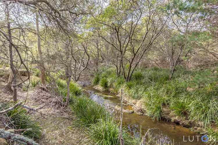 Fifth view of Homely rural property listing, 368 Back Creek Road, Braidwood NSW 2622