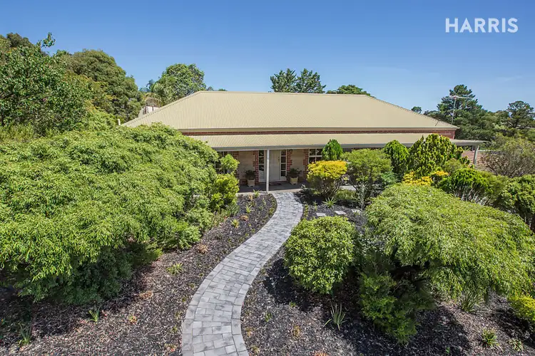20 Grevillea Road, Aberfoyle Park SA 5159