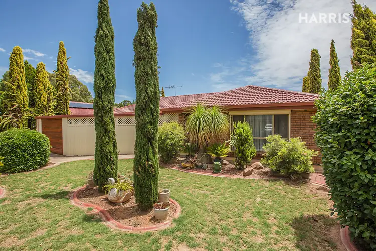 10 Bauhinia Drive, Parafield Gardens SA 5107
