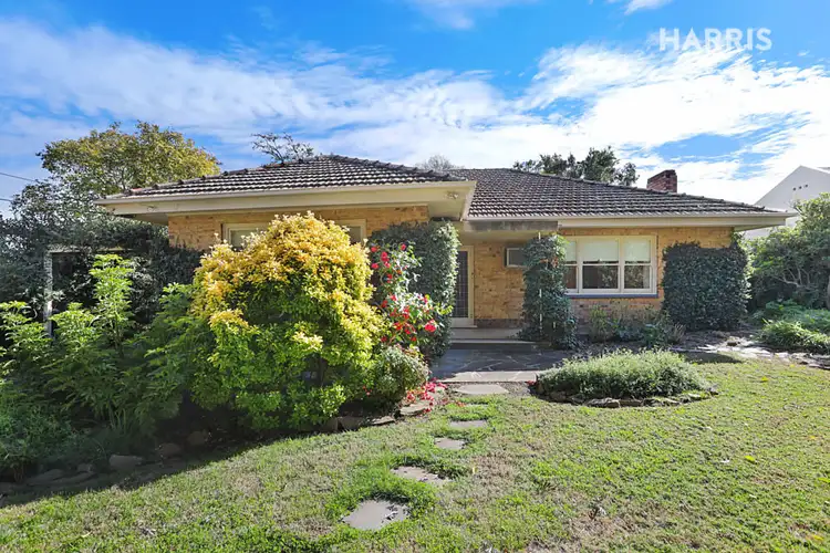 Fourth view of Homely house listing, 13-15 Jellicoe Street, Linden Park SA 5065