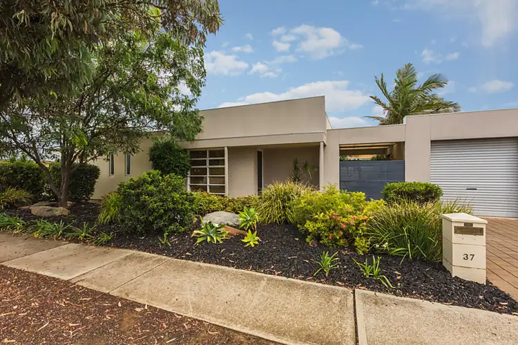 Main view of Homely house listing, 37 Elder Terrace, Glengowrie SA 5044