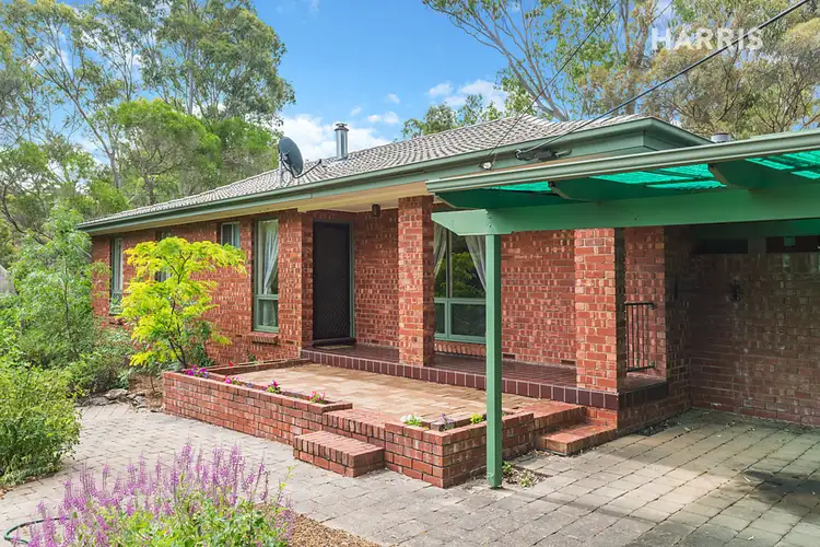 20 Trevor Terrace, Blackwood SA 5051