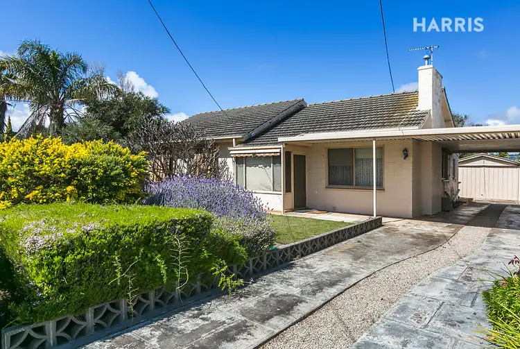 Second view of Homely house listing, 7 Bessie Street, Dover Gardens SA 5048