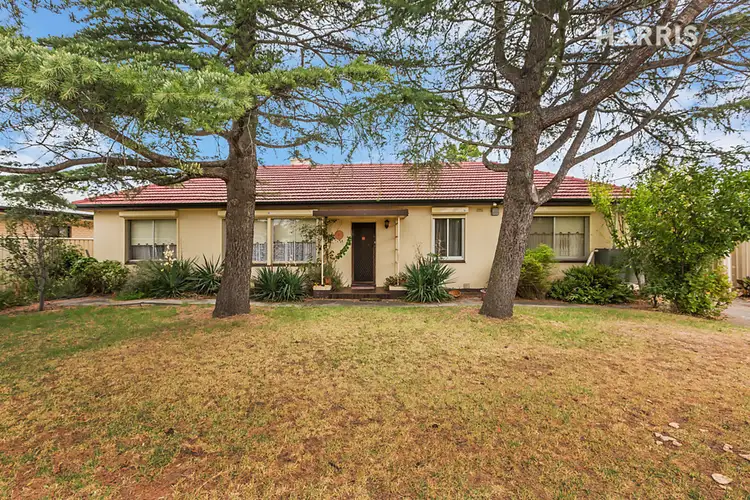 Main view of Homely house listing, 12 Mattson Avenue, Warradale SA 5046