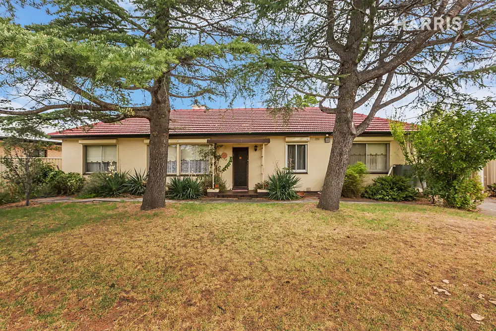 Main view of Homely house listing, 12 Mattson Avenue, Warradale SA 5046