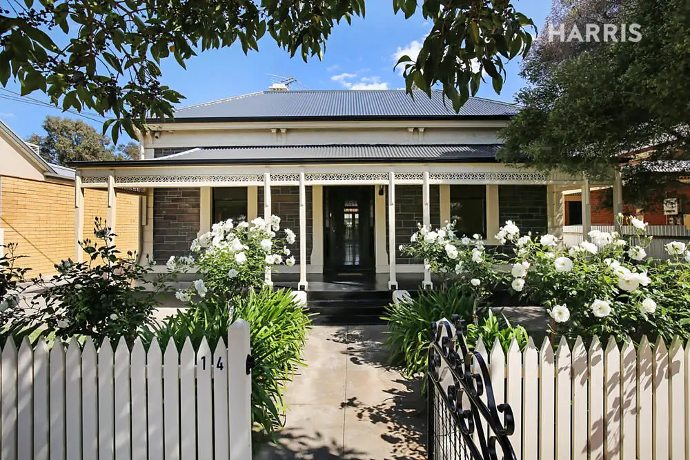 Main view of Homely house listing, 14 Morgan Street, West Hindmarsh SA 5007