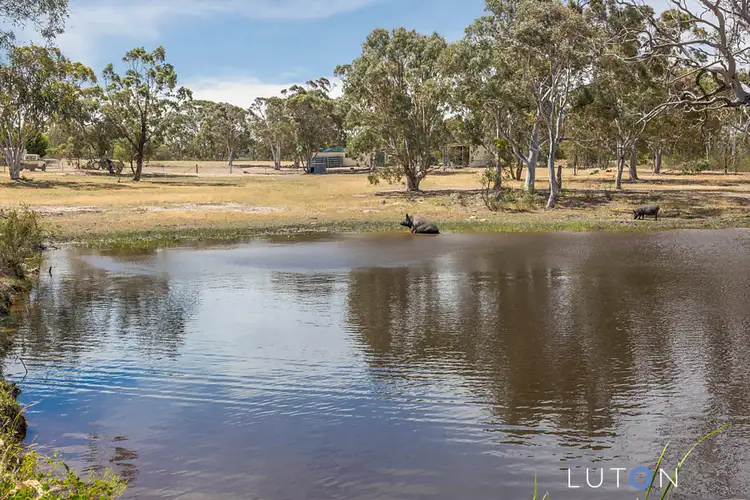 Fifth view of Homely rural property listing, 23 Jamaleopa Road, Braidwood NSW 2622