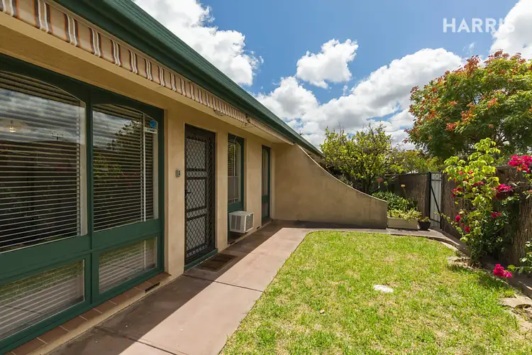 Second view of Homely unit listing, 3/16 Renown Avenue, Tranmere SA 5073