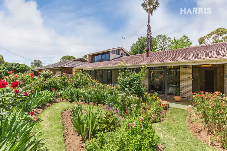 16 Tweed Avenue, Marion SA 5043