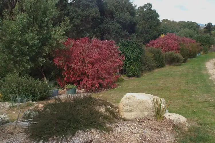 Third view of Homely rural property listing, 4782 Jerangle Road, Captains Flat NSW 2623