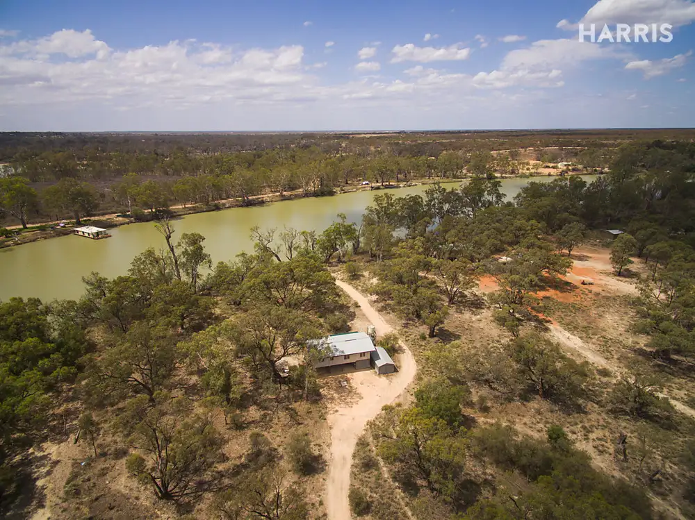 Main view of Homely house listing, 240 Morphett Flat Road, Morgan SA 5320