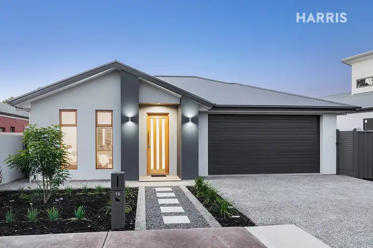 19 Rosedale Avenue, Morphettville SA 5043