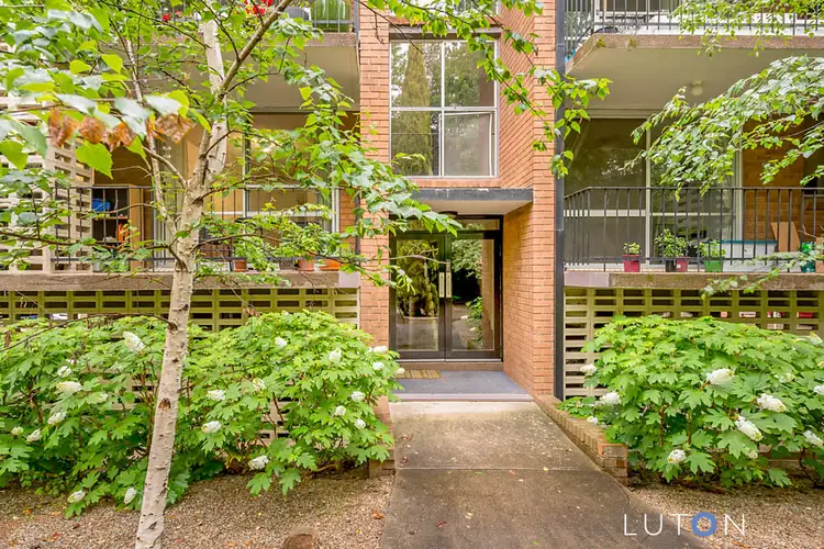 Main view of Homely unit listing, 1/99 Canberra Avenue, Griffith ACT 2603