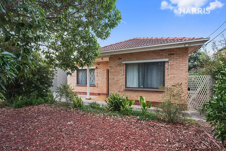 15 Sparks Terrace, Rostrevor SA 5073