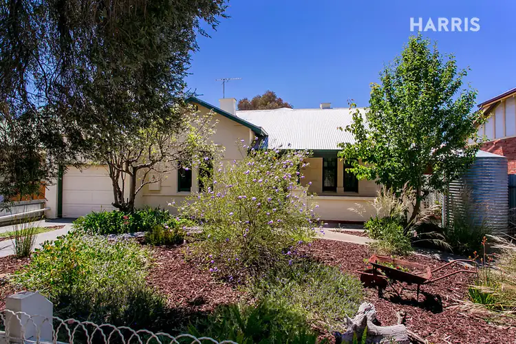 17 William Street, Croydon SA 5008