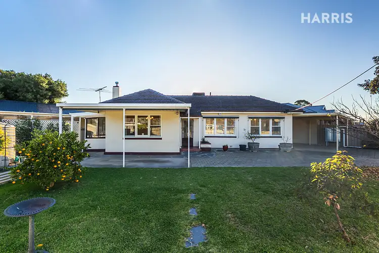 30 Calstock Avenue, Edwardstown SA 5039