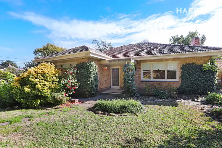 Third view of Homely house listing, 13-15 Jellicoe Street, Linden Park SA 5065