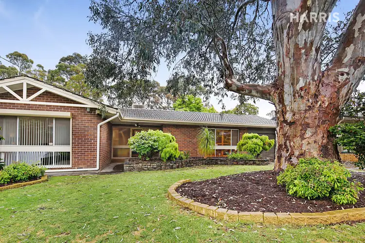 Main view of Homely house listing, 16 Palmer Street, Fairview Park SA 5126