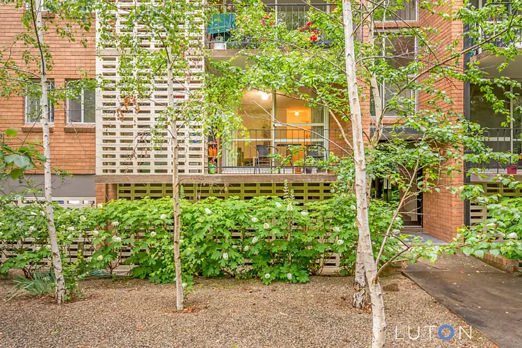Second view of Homely unit listing, 1/99 Canberra Avenue, Griffith ACT 2603