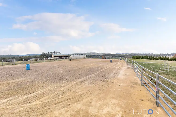 Fourth view of Homely rural property listing, 271 Wallaces Gap Road, Braidwood NSW 2622