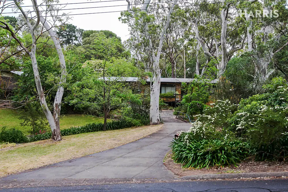 Main view of Homely house listing, 4 Cypress Avenue, Hawthorndene SA 5051