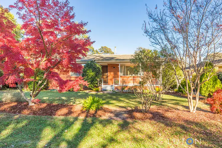 22 Cambridge Street, Cook ACT 2614