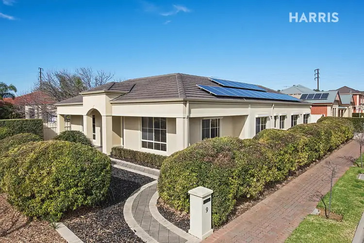 9 Parkin Court, Plympton SA 5038