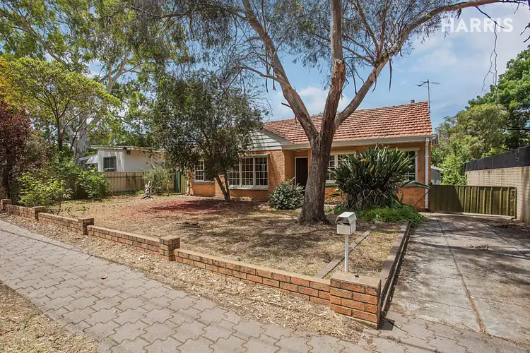 3 Pittwater Crescent, Windsor Gardens SA 5087