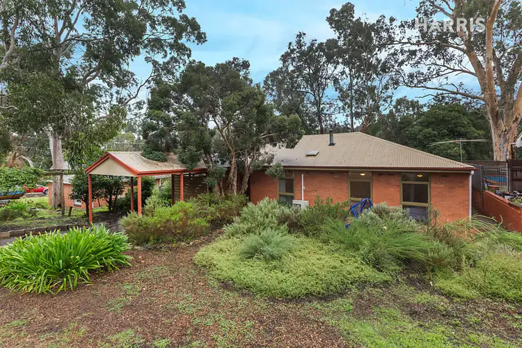 42 Margaret  Avenue, Glenalta SA 5052