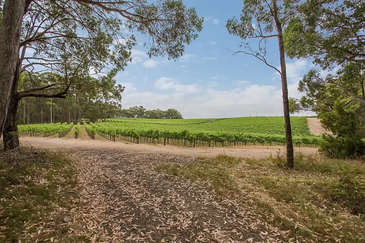 Fifth view of Homely land listing, 10 Piccadilly Crescent, Piccadilly SA 5151