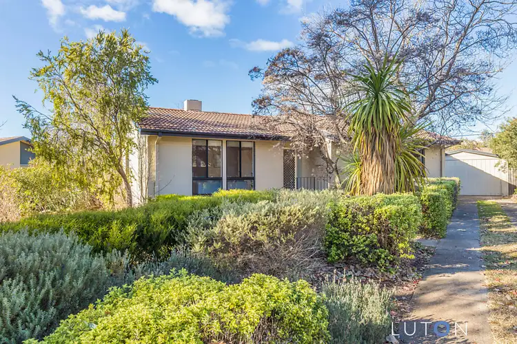 Main view of Homely house listing, 31 Santalum Street, Rivett ACT 2611
